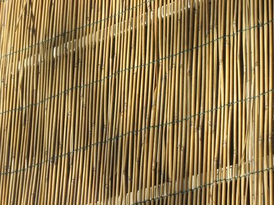 Connectez deux rouleaux de clôture de bambou avec le fil de fer galvanisé.