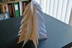 Comment faire un arbre papier 3D