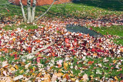 Ratisser les feuilles et façonner votre cour pour améliorer appel trottoir.