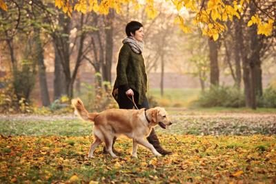 Femme promener le chien