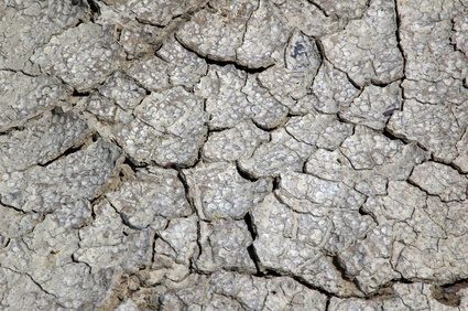 Cracked sol est un signe distinctif de la sécheresse et sous-arrosage.
