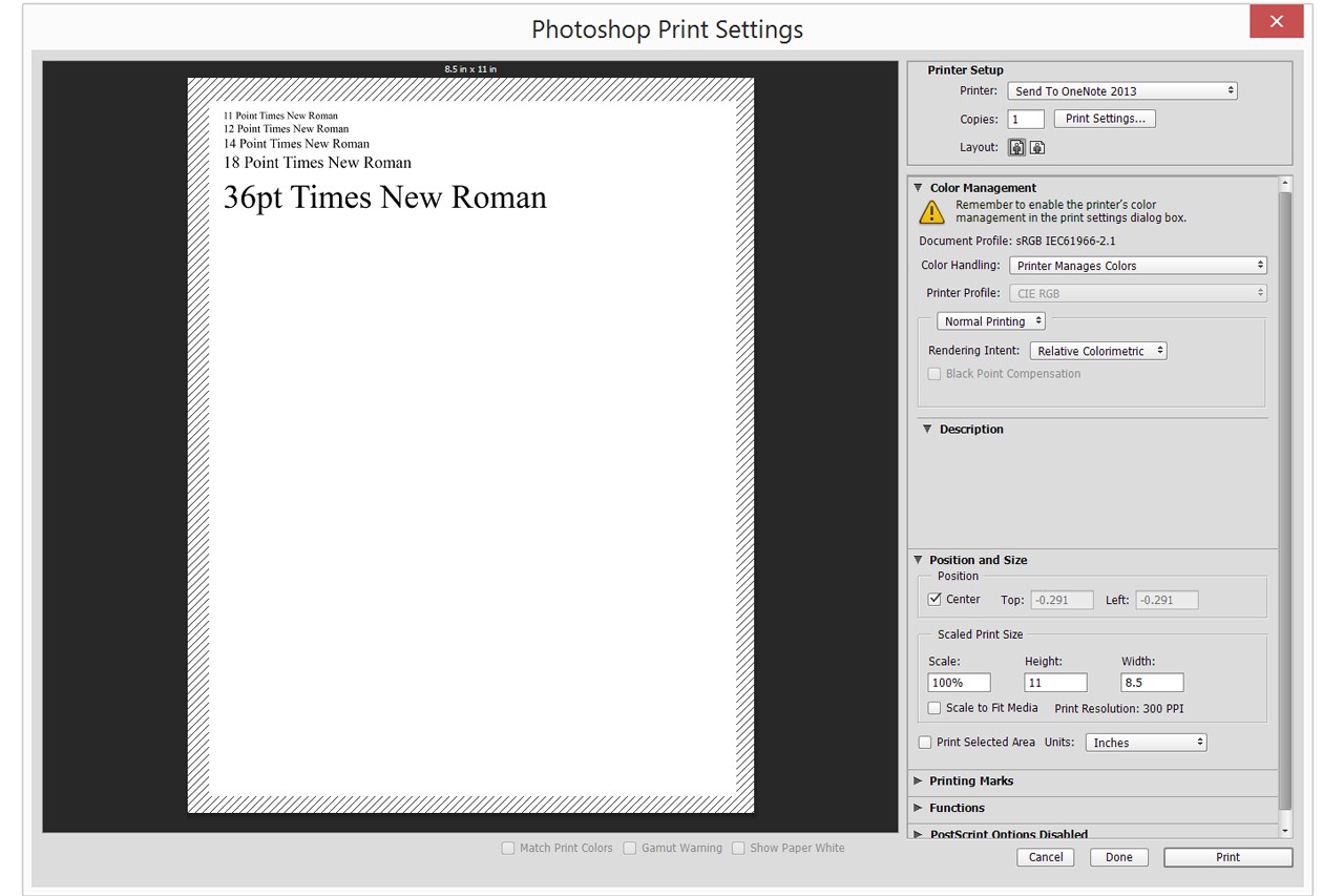 Photoshop's Print Settings menu displays a preview of your print project.
