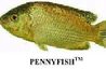 pennyfish qui est un nom de marque est un tilapia qui est génétiquement tous de sexe masculin, supérieure à la croissance rapide et le rendement de filet