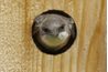 La plupart des oiseaux ont besoin d'un ensemble de moins de 2 pouces de diamètre pour entrer dans un nichoir.
