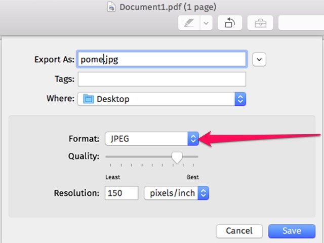 Cliquez sur le menu Format pour exporter le fichier PDF au format JPEG.