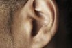Homme's ear