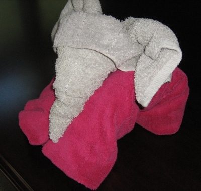 Placez la tête sur les jambes pour créer un éléphant de serviette.