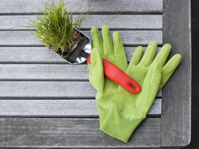 Porter des gants ou de frotter vos mains dans la terre pour garder votre odeur humaine hors du piège.