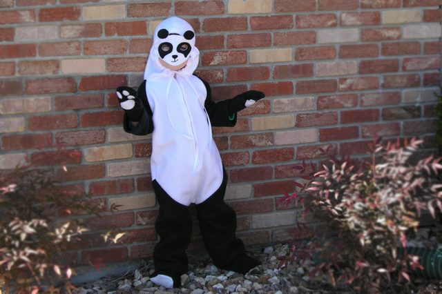 Costume de panda mignon