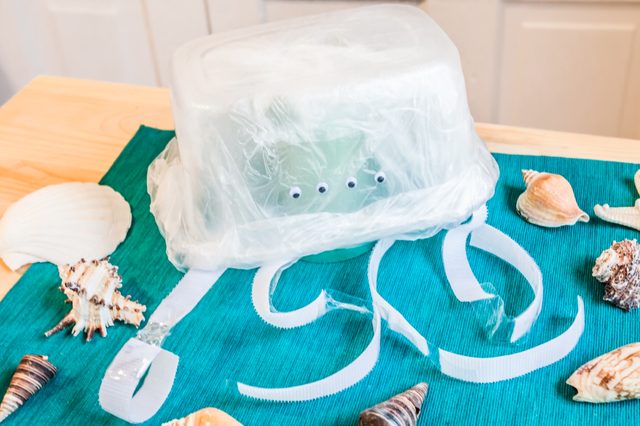 Comment faire un modèle de Box Jellyfish pour un projet de la Science