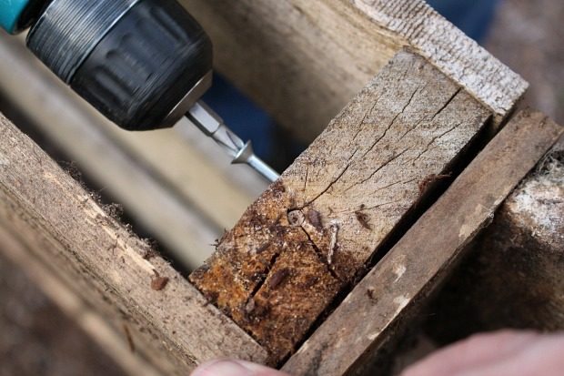 Percer les vis à bois galvanisées dans les palettes de bois.